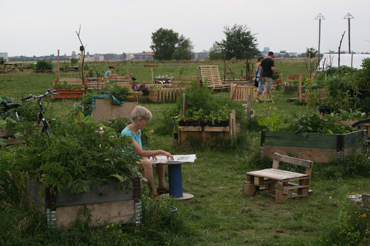 Projektbild Publikationen
